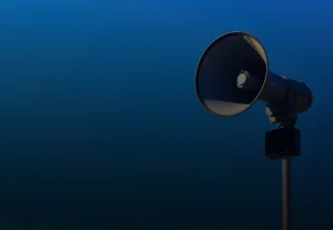 Network audio setup showing integration of various sound system components