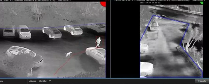 Vues de caméras PTZ thermiques doubles détectant les humains et les animaux dans un parking sombre avec des zones de détection