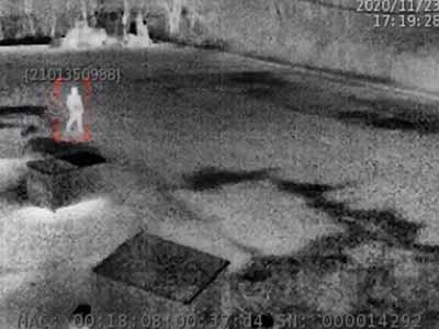 Image thermique montrant des mouvements dans un parc à ferraille.