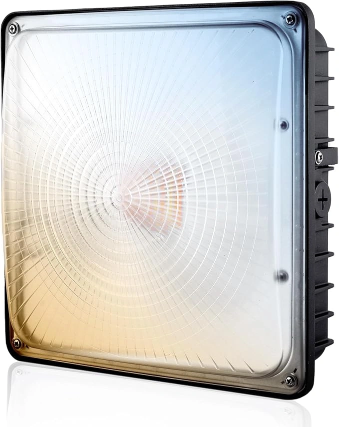 Projecteur de sécurité extérieur pour les entrées d'immeubles d'habitation